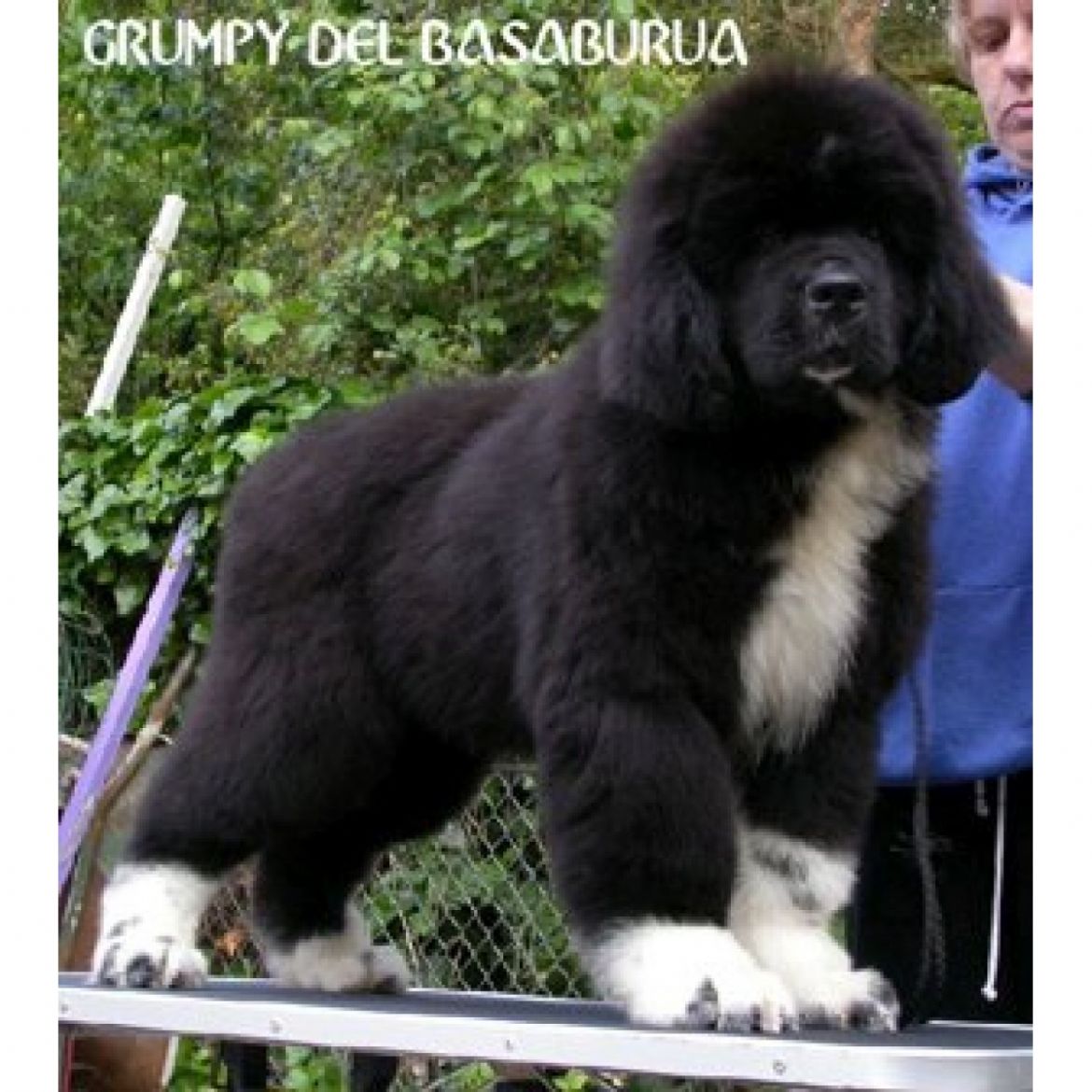 R Grumpy del Basaburua (07-02-2006)